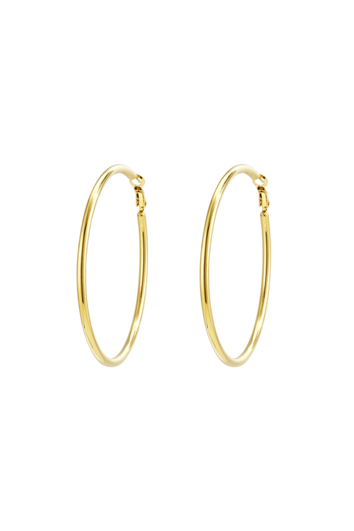 Stainless Steel Hoop Earrings Geometric Casual Daily Simple Series Women's jewelry